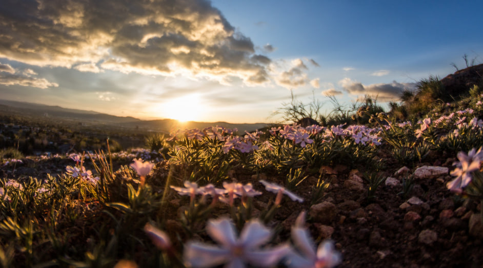 开云官网 - 开云 (中国)官方网站 - KAIYUN